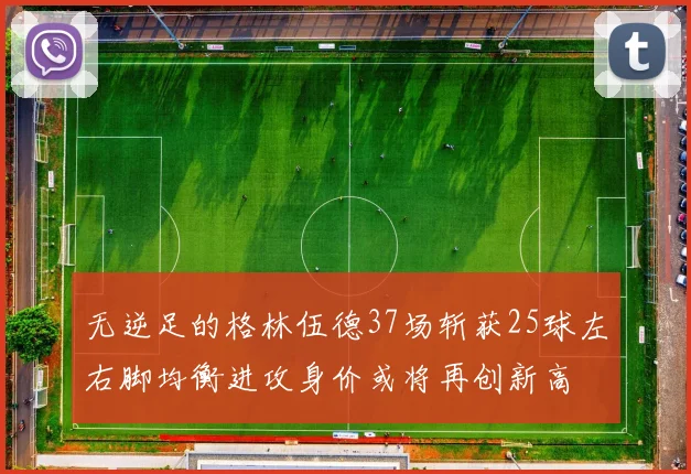 无逆足的格林伍德37场斩获25球左右脚均衡进攻身价或将再创新高