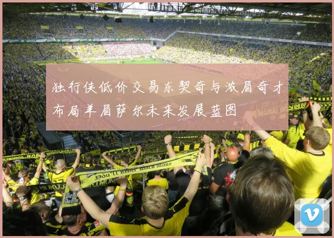 独行侠低价交易东契奇与浓眉奇才布局羊眉萨尔未来发展蓝图