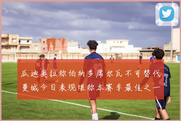 瓜迪奥拉称伯纳多席尔瓦不可替代曼城今日表现堪称本赛季最佳之一